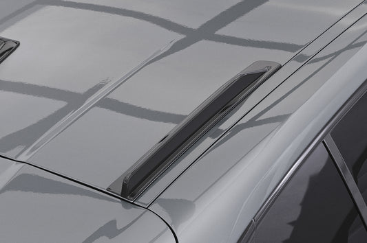 Dachfinnen mit ABE für BMW 1er F70 DF015