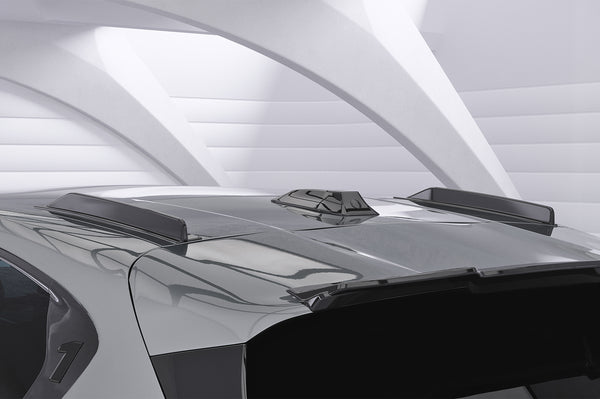 Dachfinnen mit ABE für BMW 1er F70 DF015