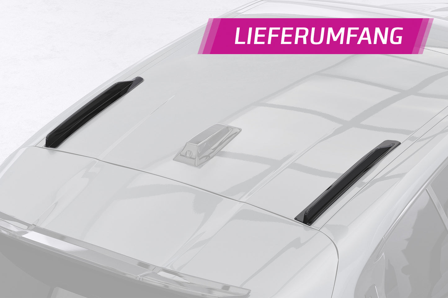 Dachfinnen mit ABE für BMW 1er F70 DF015