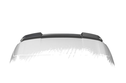 Heckspoiler | Heckflügel mit ABE für BMW X5 (G5) HF823