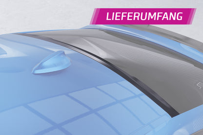 Heckscheibenblende mit ABE für BMW 4er F36 Gran Coupe HSB114