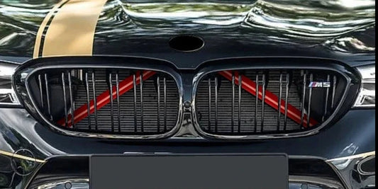 Farbige Nieren Streben Cover für BMW 1er, 2er, 3er, 4er